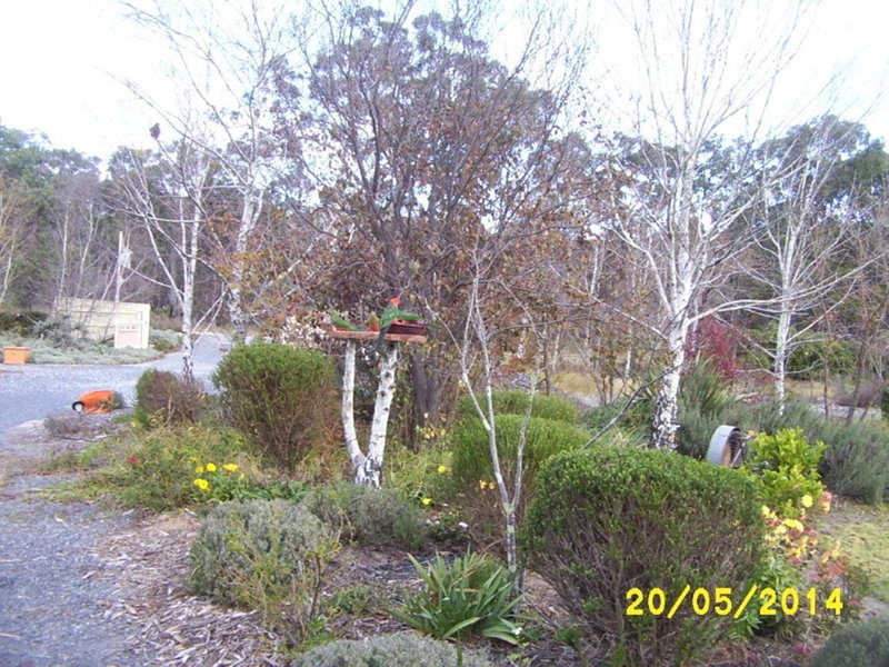 Windswept Country Retreat, Ballandean, Australia
