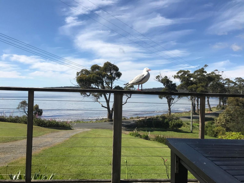 Summertime Cottage, Southport, Australia