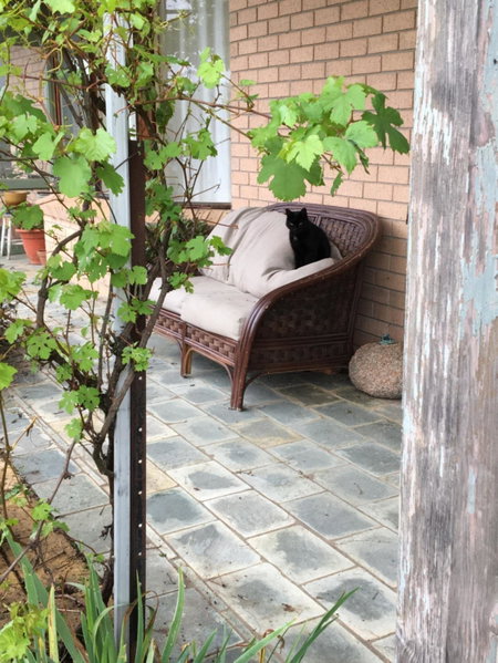 Springmead B&B, Rydal, Australia