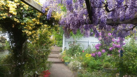 Birch Lane, Cradoc, Australia