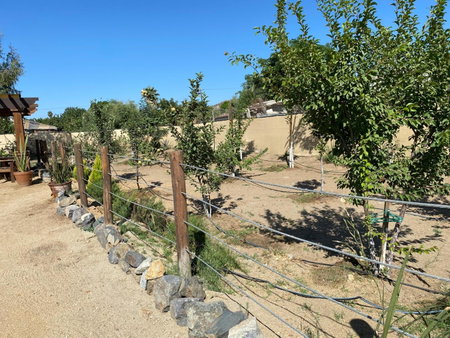 Estancita Elena, Valle de Guadalupe, Mexico