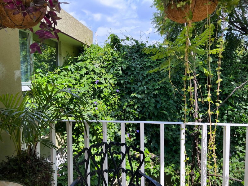 Dickinson Guest House, Guadalajara Expo, Guadalajara, Mexico