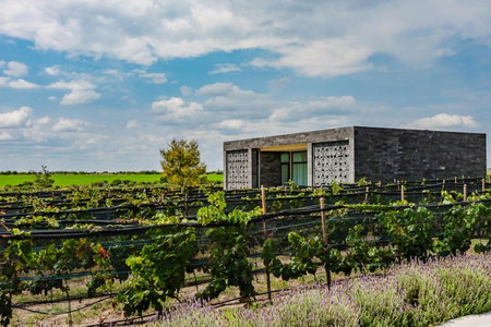 Casa Raíces Hotel Luxury & Viñedo, Los Galvanes, Mexico