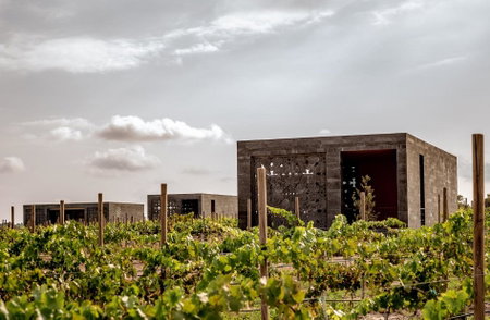 Casa Raíces Hotel Luxury & Viñedo, Los Galvanes, Mexico