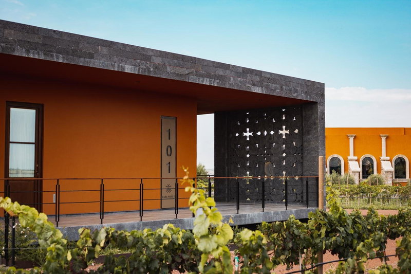 Casa Raíces Hotel Luxury & Viñedo, Los Galvanes, Mexico