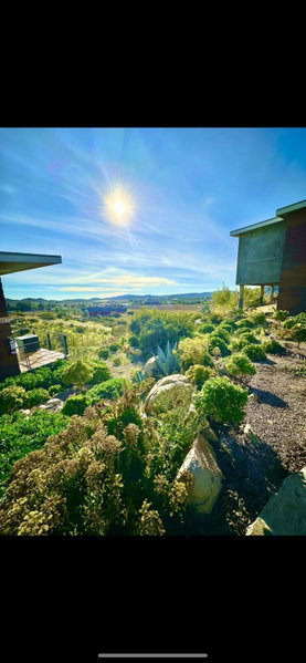 Siempre Valle Hotel Boutique, Valle de Guadalupe, Mexico
