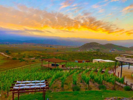 Siempre Valle Hotel Boutique, Valle de Guadalupe, Mexico