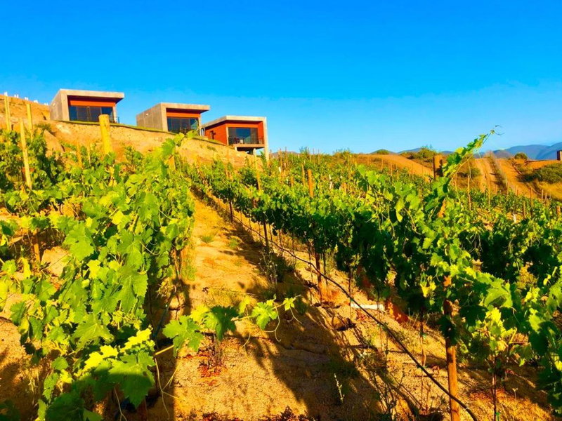 Siempre Valle Hotel Boutique, Valle de Guadalupe, Mexico