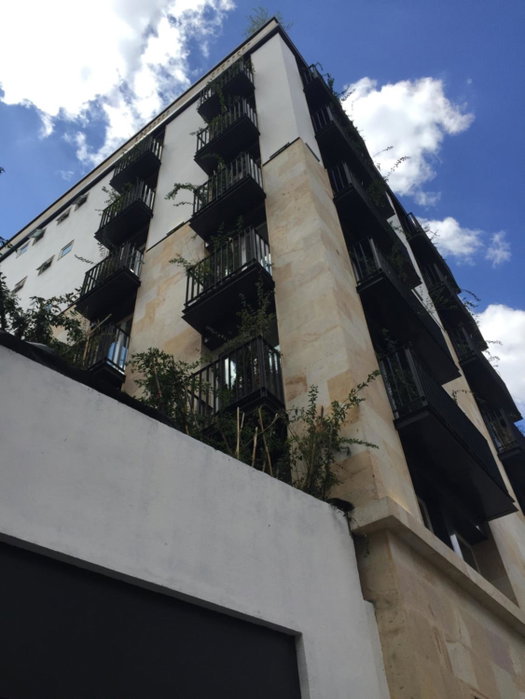 MyPlace at Santo Domingo, Mexico City, Mexico