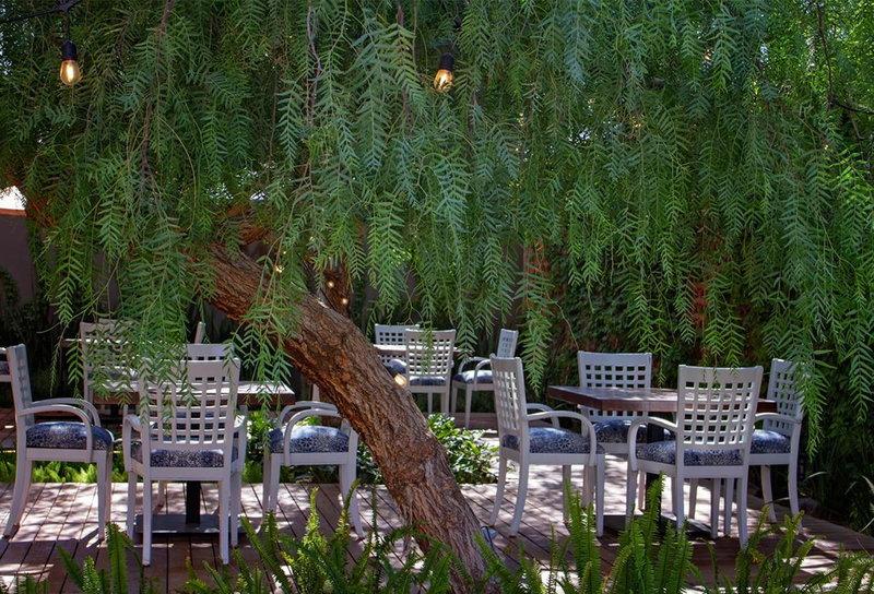 Alesia - Boutique Hotel & Spa, Aguascalientes, Mexico