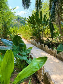 Hotel Maya Bell, Palenque, Mexico