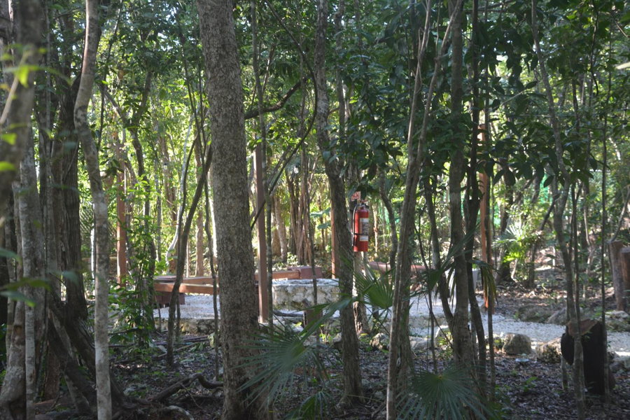 Glamping Mayan Glam, Tulum, Mexico