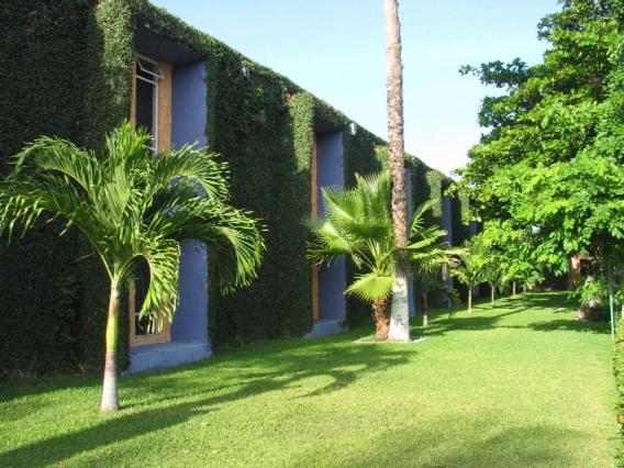 Hotel · Hotel Calli, Santo Domingo Tehuantepec