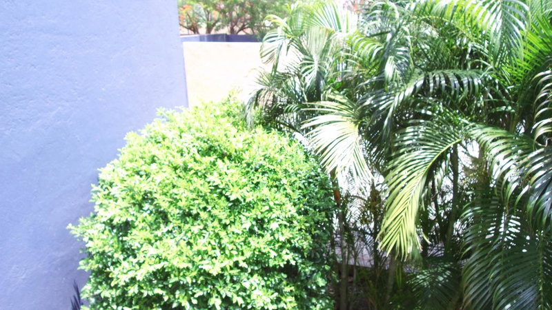 Hotel Calli, Santo Domingo Tehuantepec, Mexico