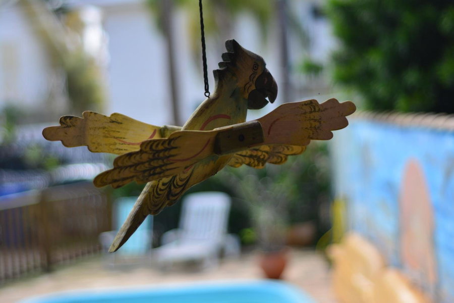 Geckos Hostel, Florianópolis, Brazil