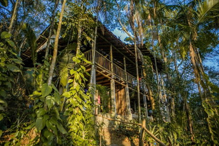 ReMo Treehouse Hostel, Parati-Mirim, Brazil
