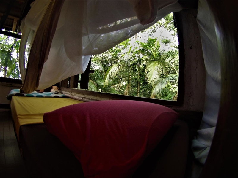ReMo Treehouse Hostel, Parati-Mirim, Brazil
