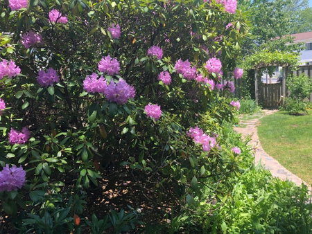The Stella Rose B&B, Wolfville, Canada