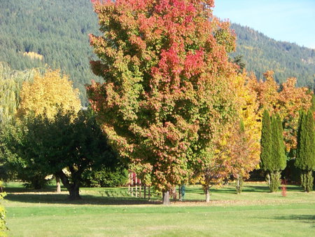Bavarian Orchard Motel, Creston, Canada