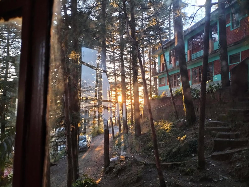 kailwood Guest House, McLeod Ganj, India