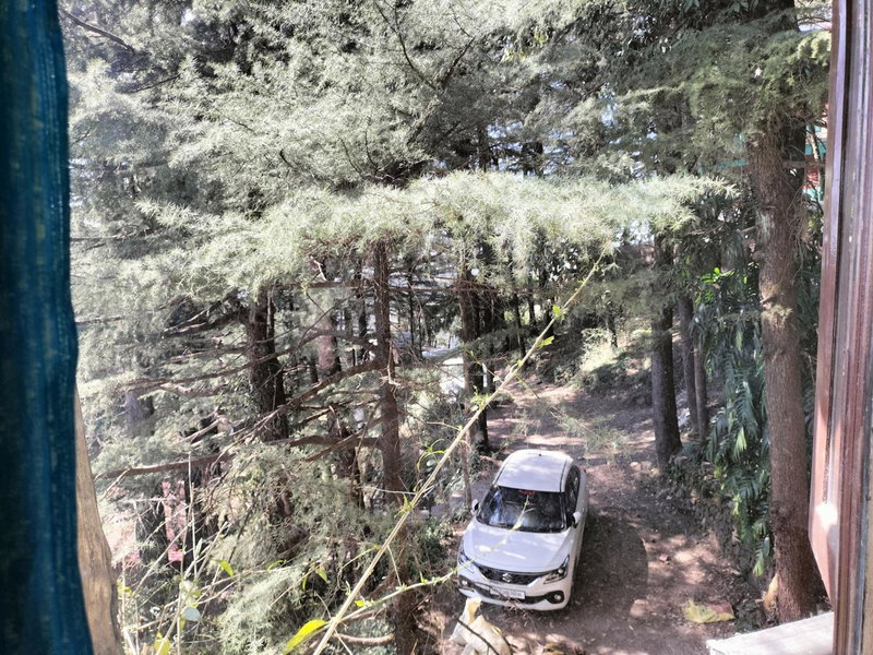 kailwood Guest House, McLeod Ganj, India