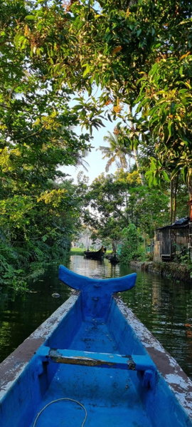 Chilanka Lake View Resort, Alleppey, India