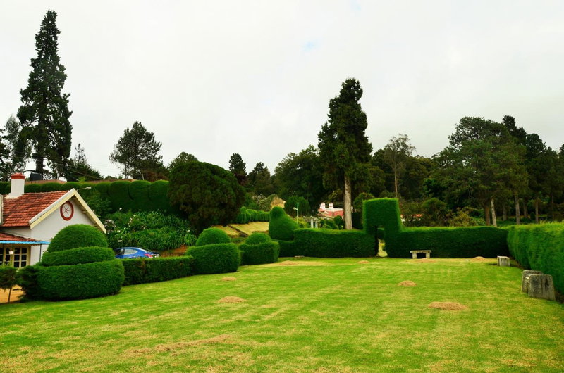 KSTDC Hotel Mayura Sudarshan ,Ooty, Ooty, India