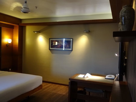 Hotel Cosmopolitan, Ahmedabad, India