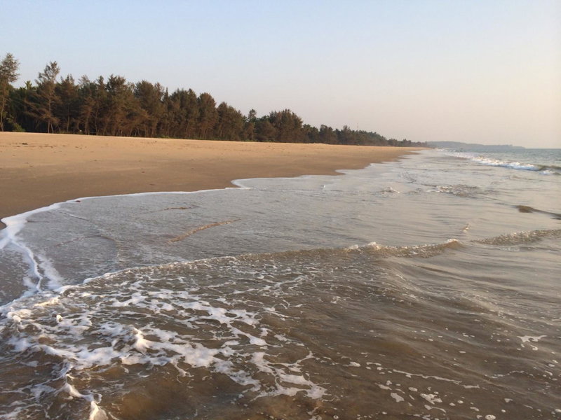 OmBodhi Retreat, Kumta, India