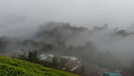Wild and Free Farm Stay, Ooty, India