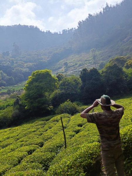 Wild and Free Farm Stay, Ooty, India