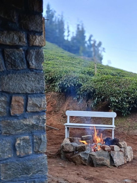 Wild and Free Farm Stay, Ooty, India