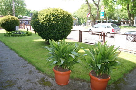 Pałacyk Srebrna Fala, Międzyzdroje, Poland