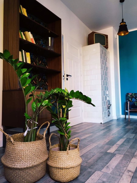 Lawendowo- sauna jacuzzi domki w ogrodzie i apartamenty w kamienicy, Sandomierz, Poland