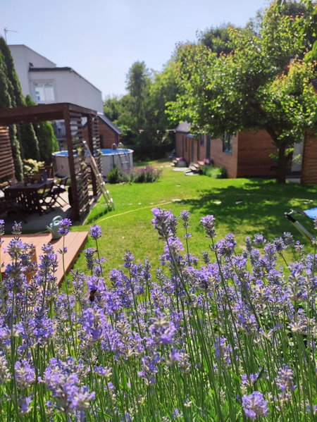 Lawendowo- sauna jacuzzi domki w ogrodzie i apartamenty w kamienicy, Sandomierz, Poland