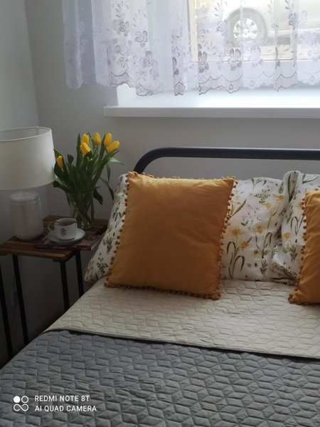 Apartament Miodownik, Międzylesie, Poland