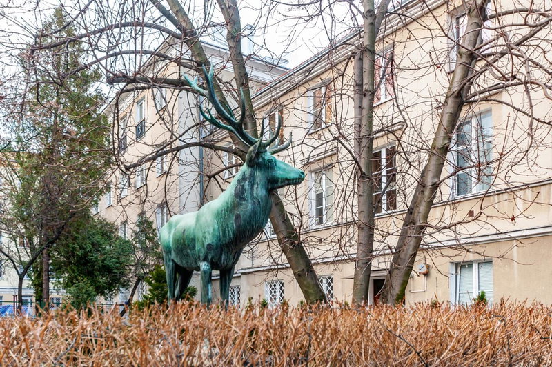 Apartment PREMIUM Nowy Świat by Your Freedom, Warsaw, Poland