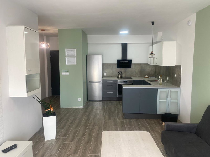 1 Tyskie Apartamenty z ogródkiem, Tychy, Poland