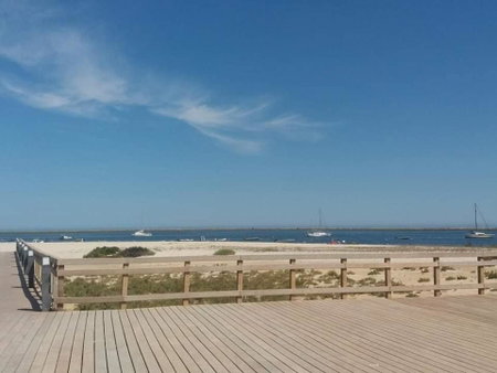 Primo dos caracois, Olhão, Portugal