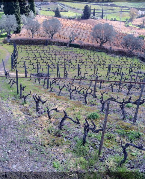 Quinta do Fôjo, Lamego, Portugal