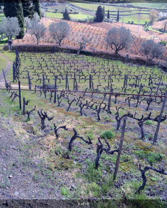 Quinta do Fôjo, Lamego, Portugal