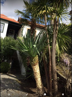 Quinta do Fôjo, Lamego, Portugal