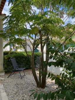 Casa do Canto - Uma casa no campo, perto da praia., Óbidos, Portugal
