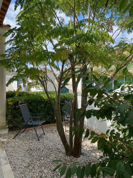 Casa do Canto - Uma casa no campo, perto da praia., Óbidos, Portugal