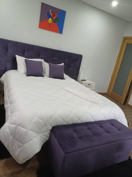 Leonchic - Guest House com Piscina de Água Salgada, Barcelos, Portugal