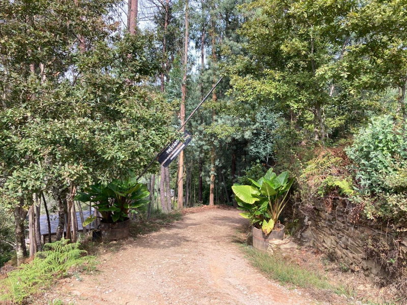 Quinta da Recochina, Castro Daire, Portugal
