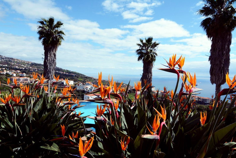 Quinta Alegre, Calheta, Portugal