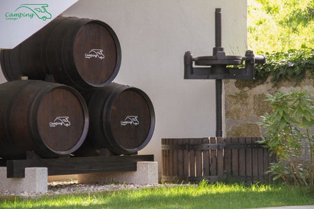 Camping Lamego Douro Valley, Lamego, Portugal