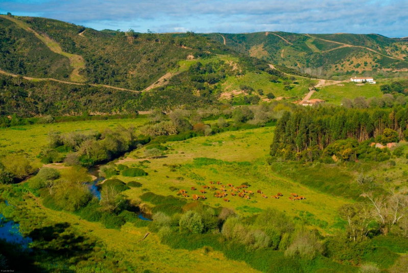Herdade Da Corte, Tavira, Portugal