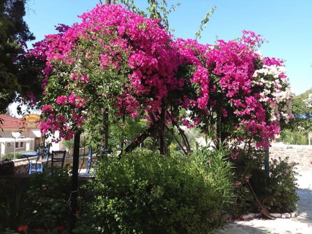 Vagia Traditional Hotel, Aegina, Greece